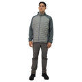 Parka HW New Nomade Gris