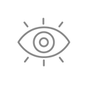 Vision